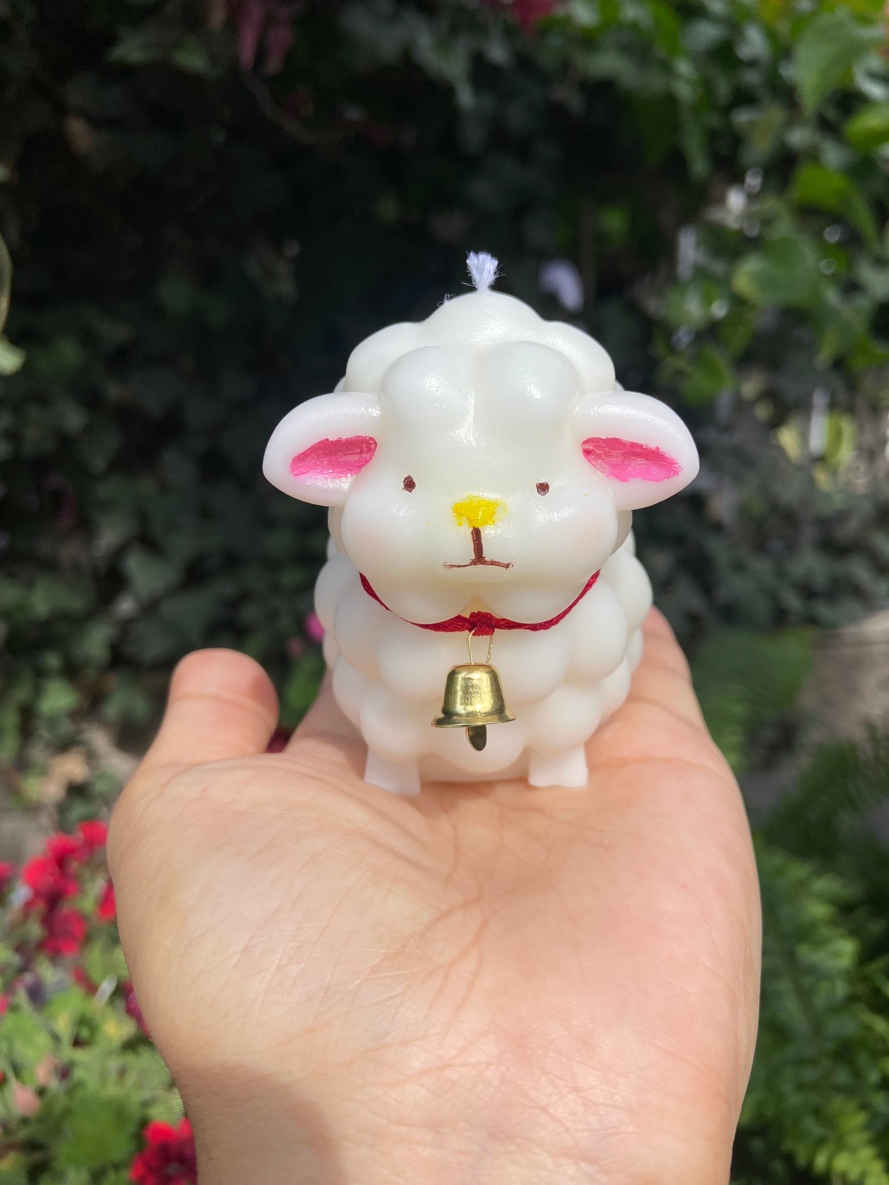 Borreguito de la Suerte en Cajita – Edición Especial