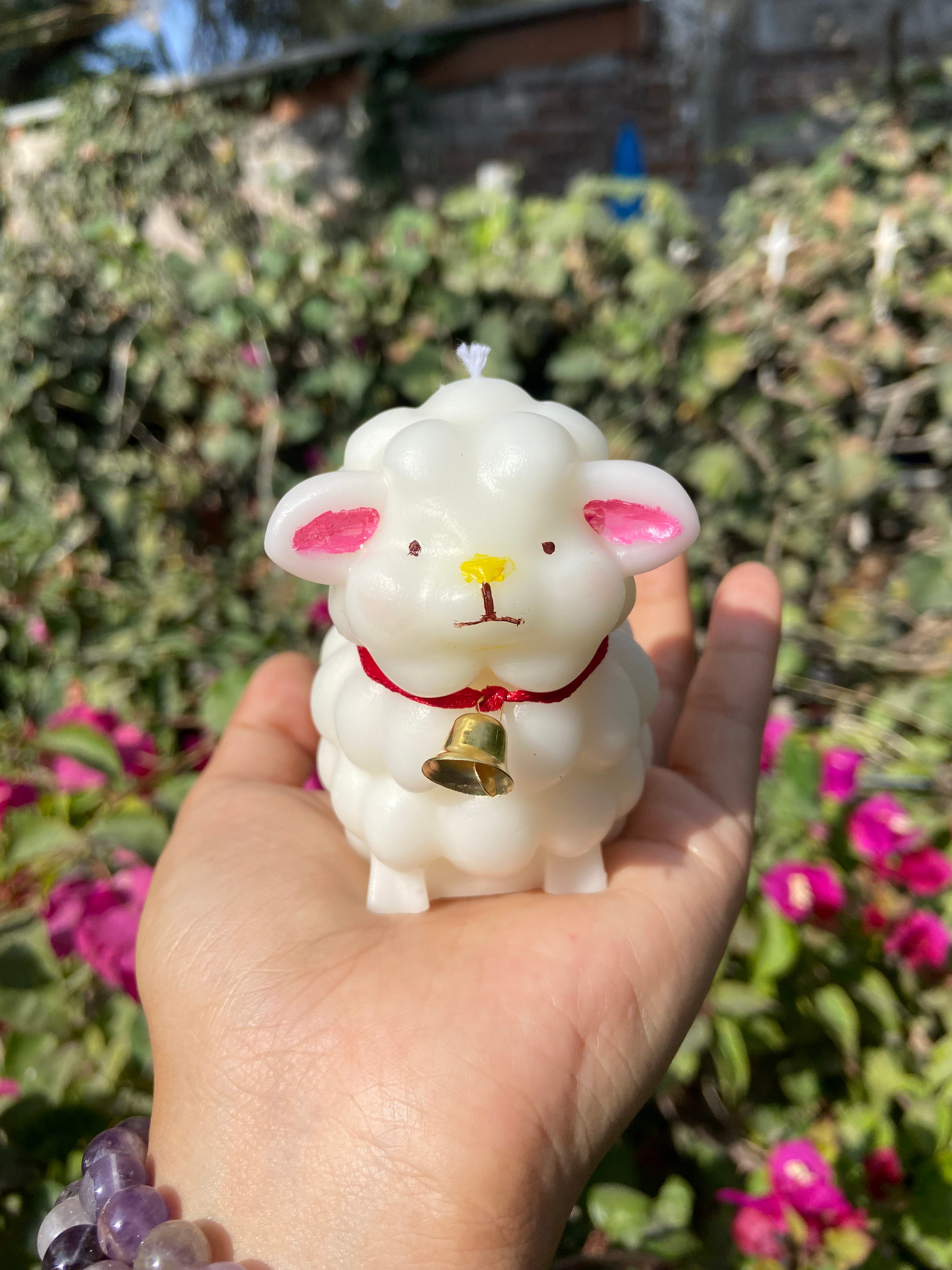 Borreguito de la Suerte en Cajita – Edición Especial