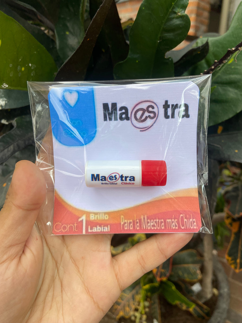 Bálsamos labiales en forma de útiles escolares